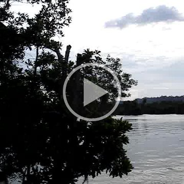 MOV02560 MOV02560