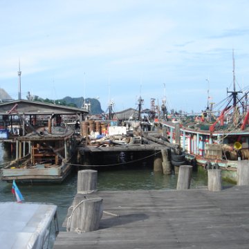 DSC00690 DSC00690
