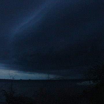 DSC00729 DSC00729