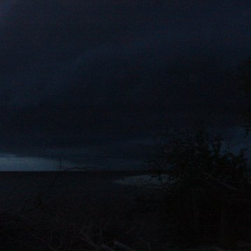 DSC00731 DSC00731