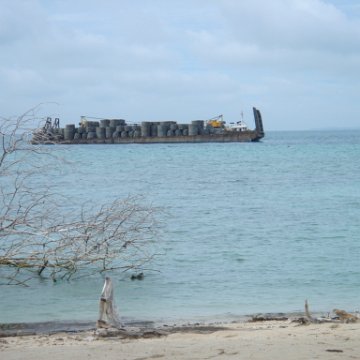 DSC00736 DSC00736