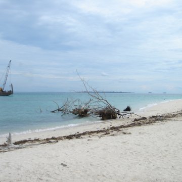 DSC00746 DSC00746
