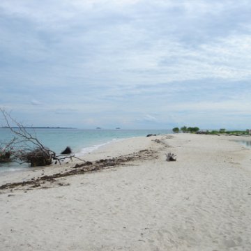 DSC00747 DSC00747