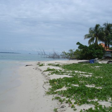 initial trip to selinga-survey all 3 isl (4) initial trip to selinga-survey all 3 isl (4)