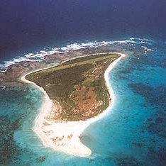 birdislandseychelles birdislandseychelles