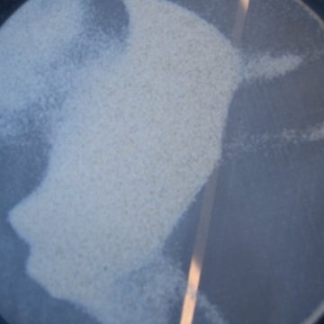 sandsieveanalysis_028 sandsieveanalysis_028