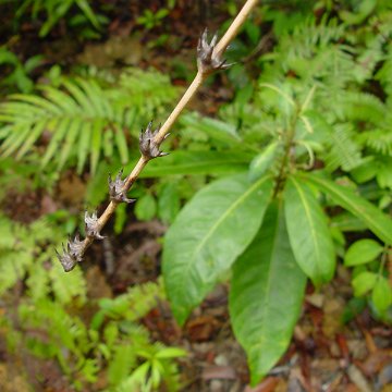 dsc00010 dsc00010