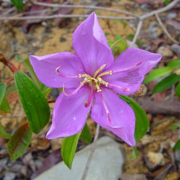 dsc00012 dsc00012