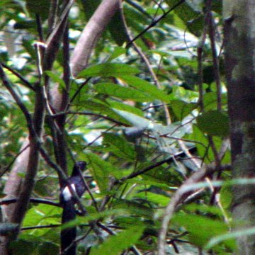 dsc00027 dsc00027