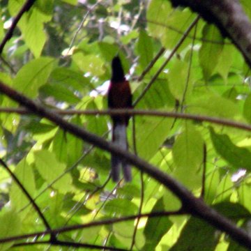 dsc00030 dsc00030