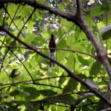 dsc00031 dsc00031