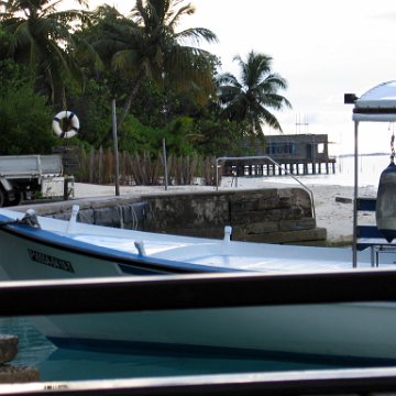 coralsurverynevisfourseasons_013 coralsurverynevisfourseasons_013