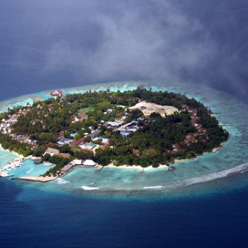 coralsurverynevisfourseasons_021 coralsurverynevisfourseasons_021
