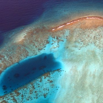coralsurverynevisfourseasons_024 coralsurverynevisfourseasons_024