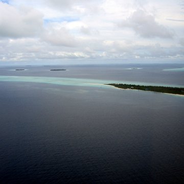 coralsurverynevisfourseasons_025 coralsurverynevisfourseasons_025