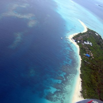 coralsurverynevisfourseasons_026 coralsurverynevisfourseasons_026