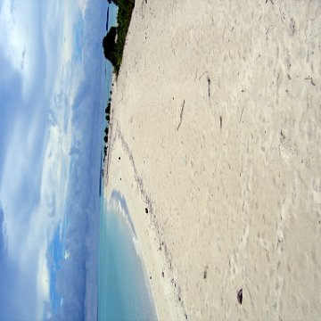 coralsurverynevisfourseasons_041 coralsurverynevisfourseasons_041