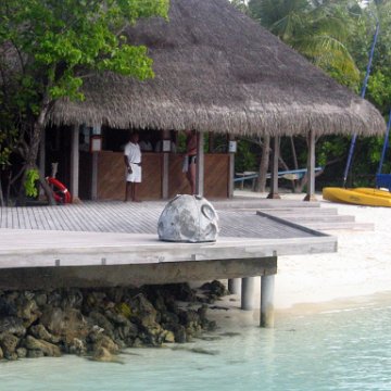 coralsurverynevisfourseasons_186 coralsurverynevisfourseasons_186