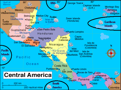 camerica.gif