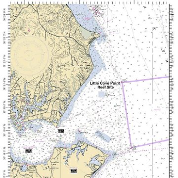 Cedar Point and Little Cove Point Reef Ball Project