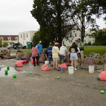 DSC00084 DSC00084