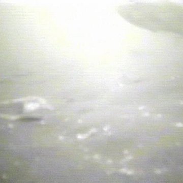 Hollicutts Fish 2 Hollicutts Fish 2