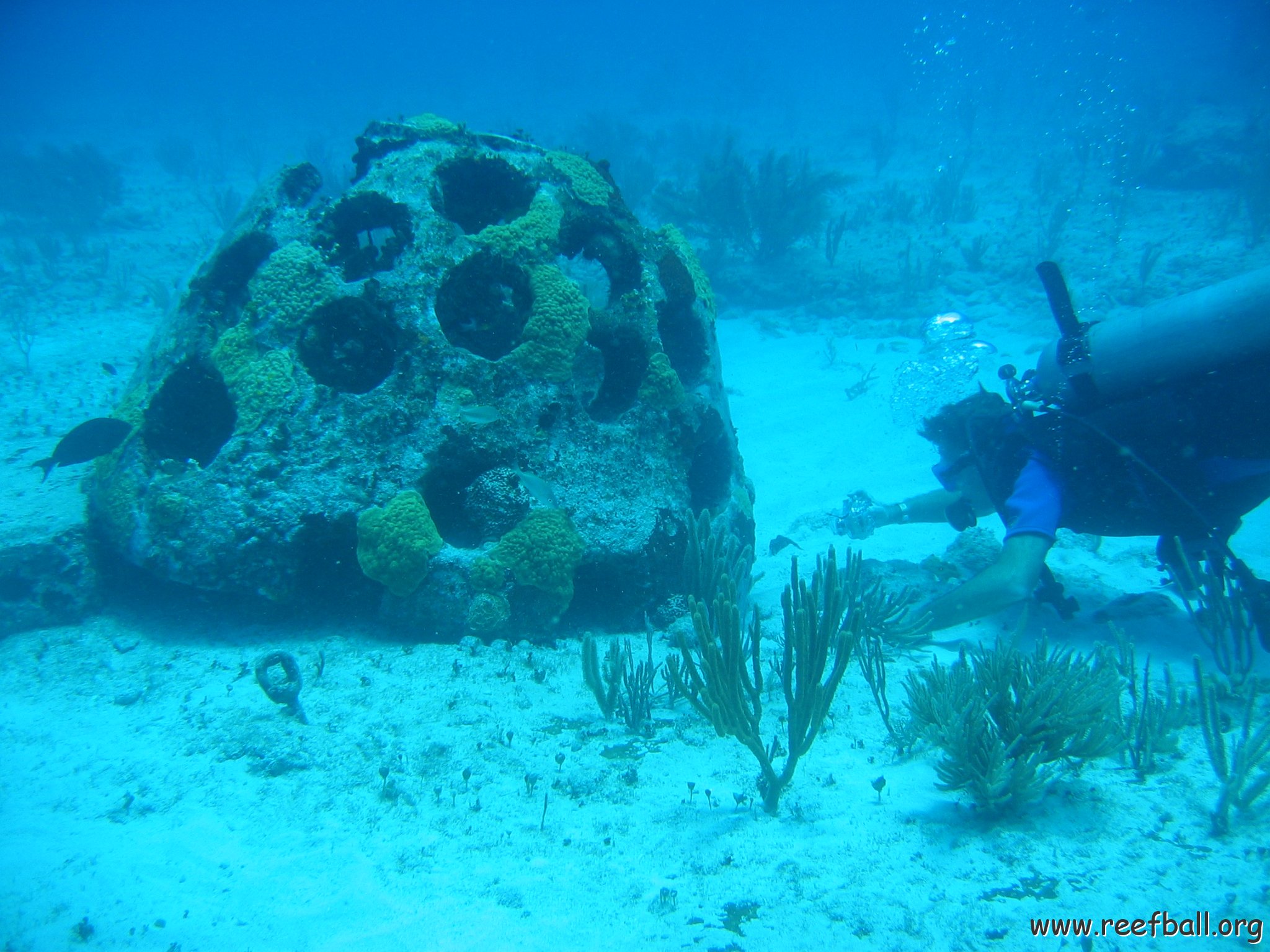 2005Aug5 Cancun 065