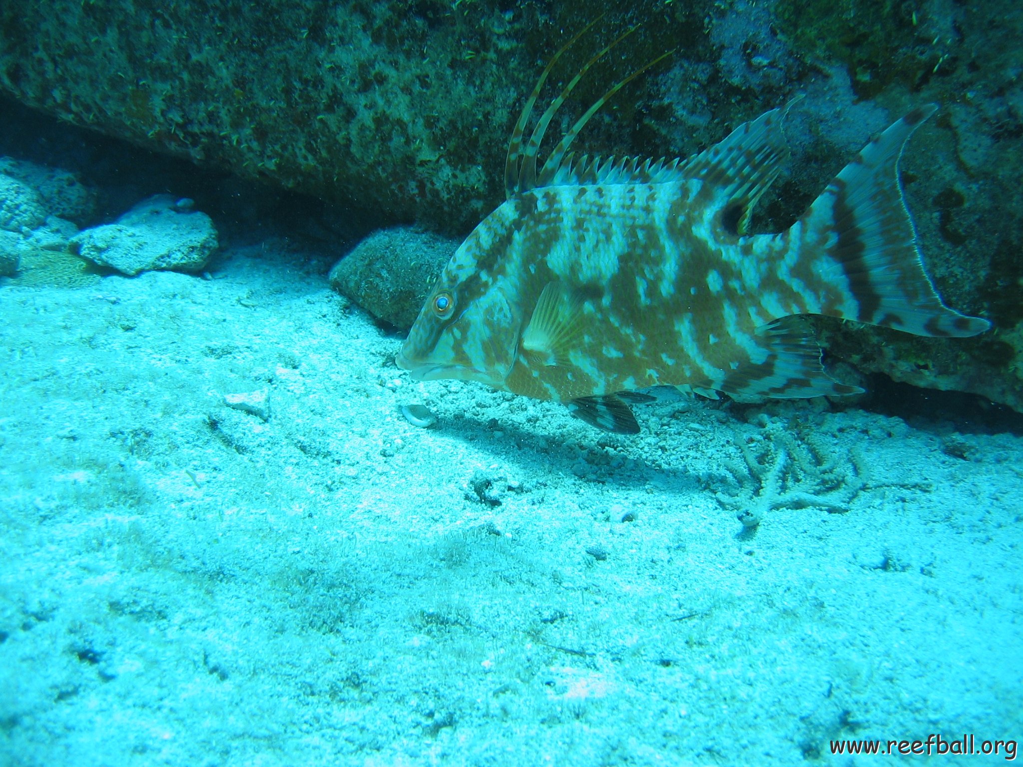 2005Aug5 Cancun 083