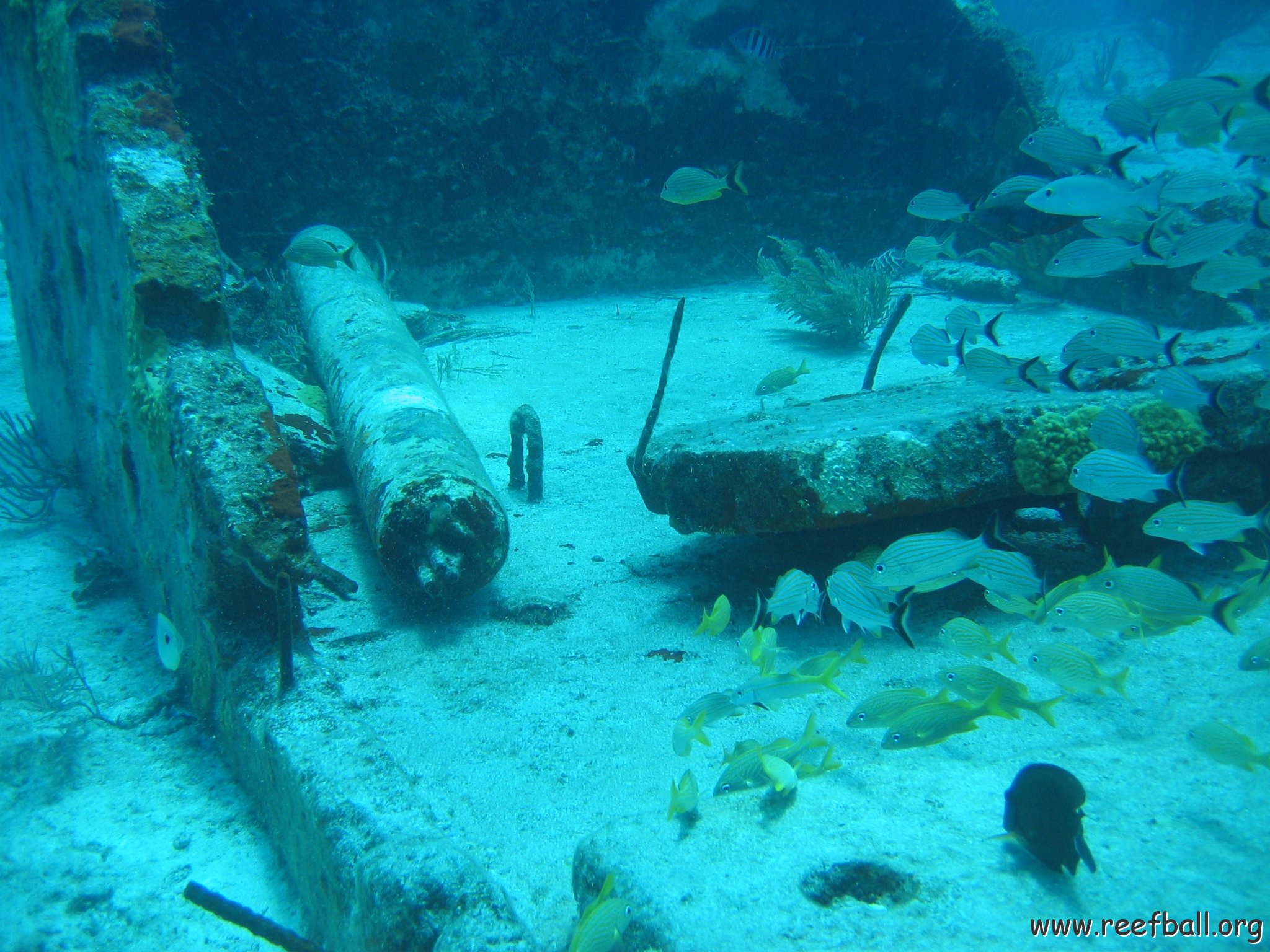 2005Aug5 Cancun 085