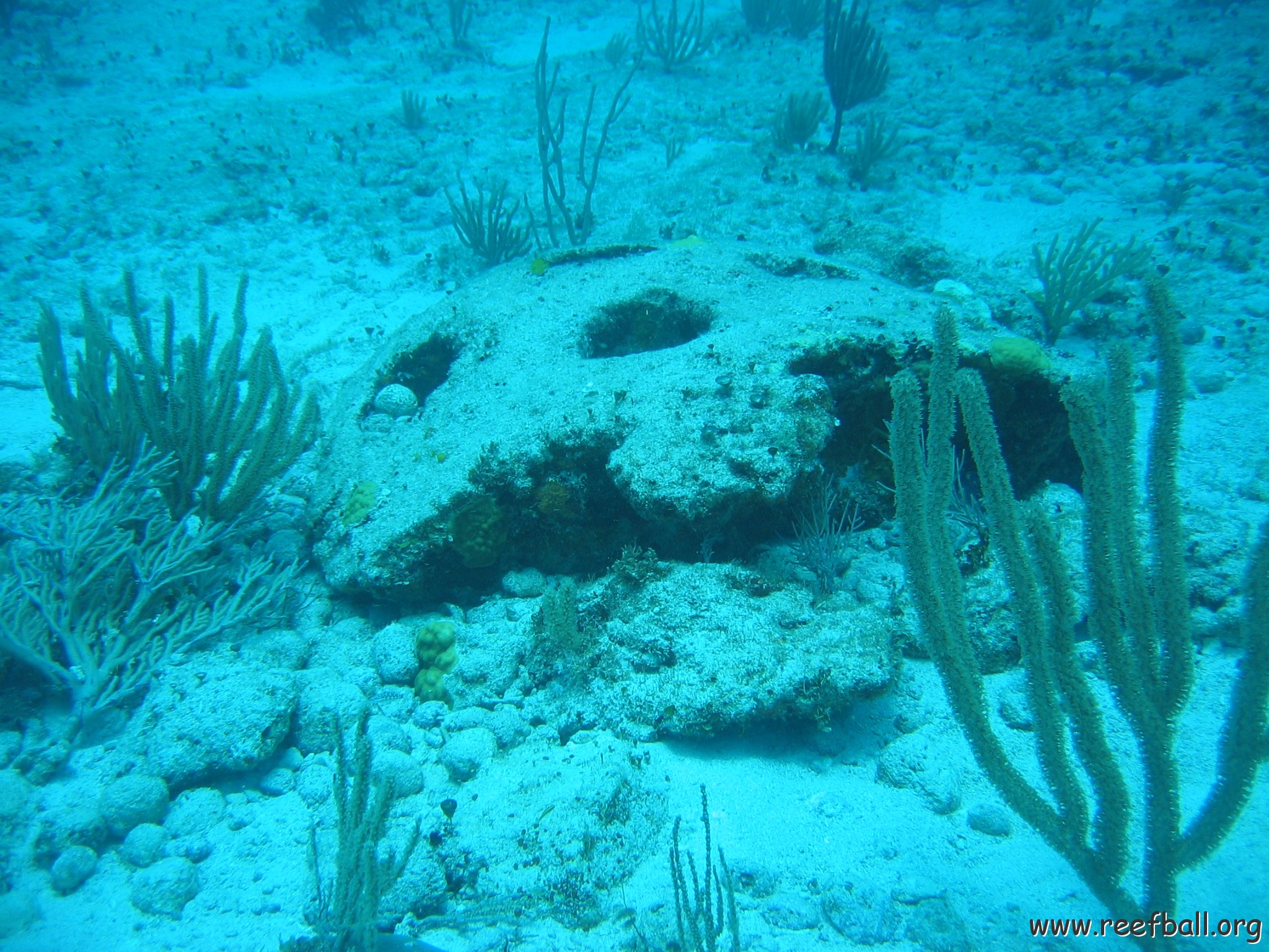 2005Aug5 Cancun 099