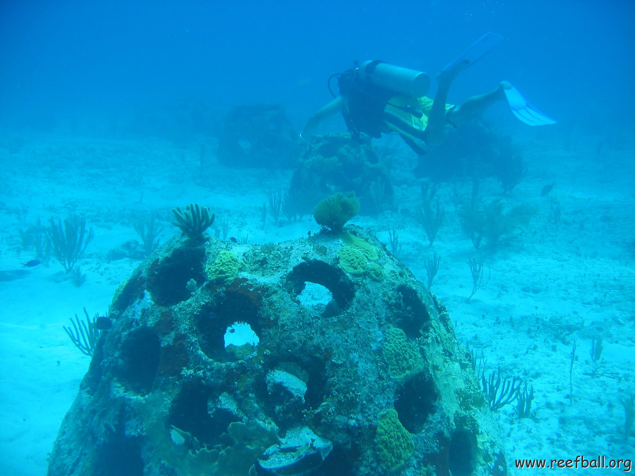 2005Aug5 Cancun 147