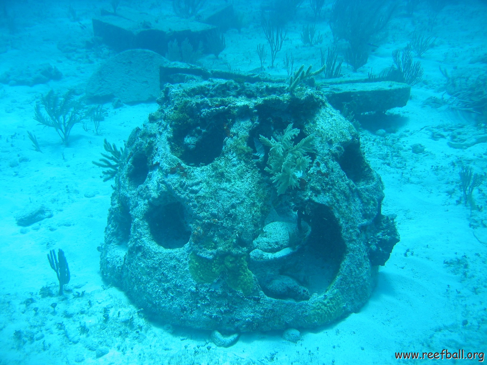 2005Aug5 Cancun 157