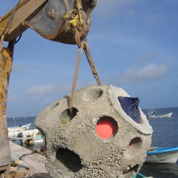img_0831 img_0831