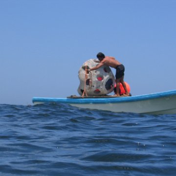 img_0856 img_0856