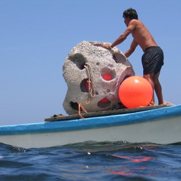 img_0858 img_0858