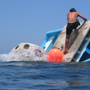 img_0860 img_0860