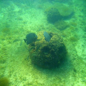img_0385 img_0385