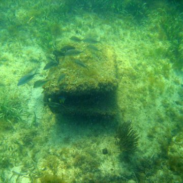 img_0388 img_0388