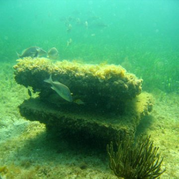 img_0389 img_0389