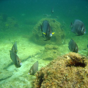 img_0391 img_0391