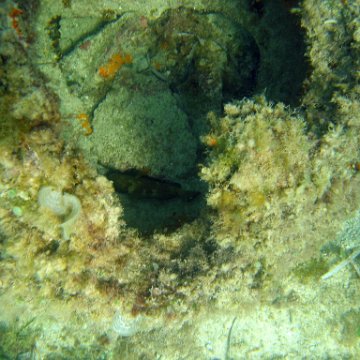 img_0392 img_0392