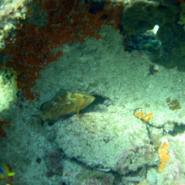 img_0394 img_0394