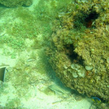 img_0403 img_0403