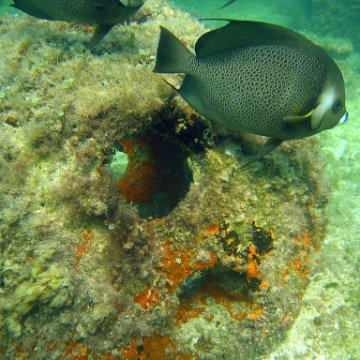 img_0405 img_0405