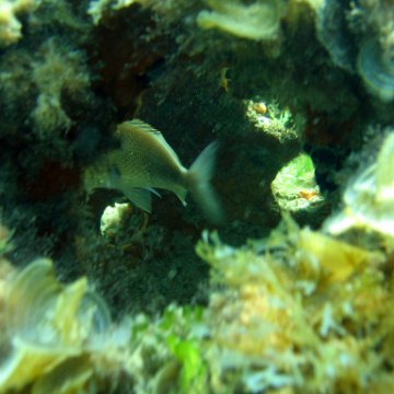 img_0407 img_0407