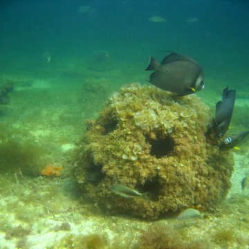 img_0408 img_0408