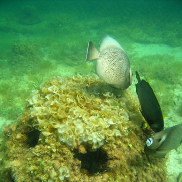 img_0409 img_0409