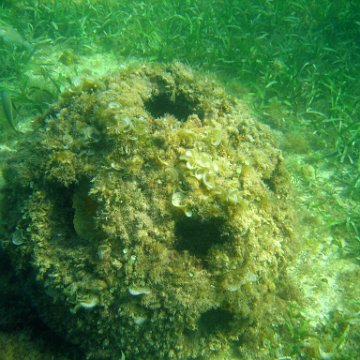 img_0410 img_0410
