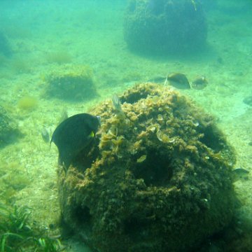 img_0411 img_0411