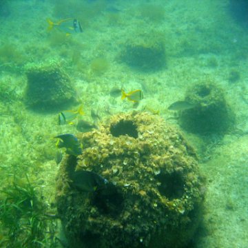 img_0413 img_0413